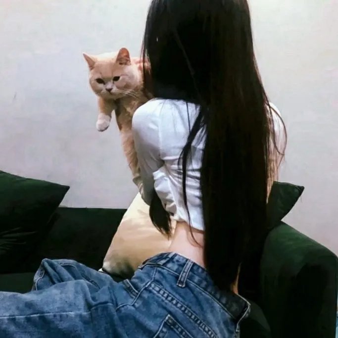 孤儿历险记